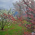 Konukevi Rubino Ponte nellʼAlpi