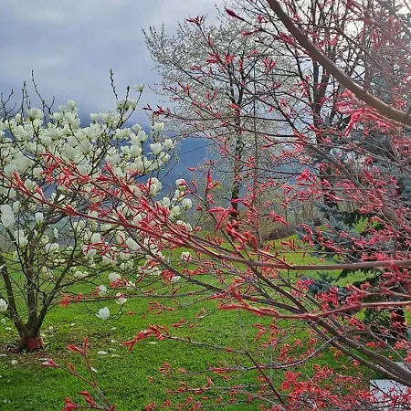 Gasthof Rubino Ponte nellʼAlpi